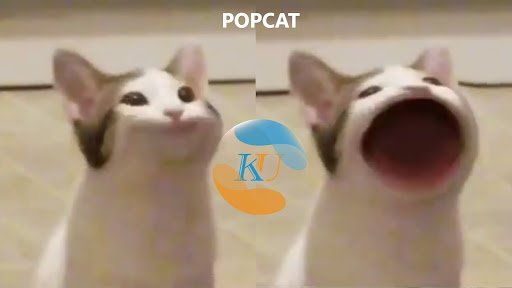 tải game Popcat