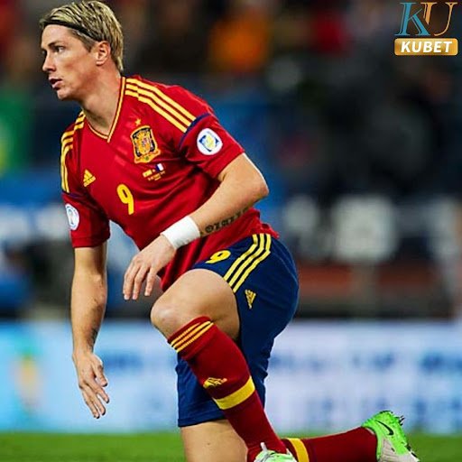 Hình ảnh cầu thủ Fernando Torres trên sân bóng