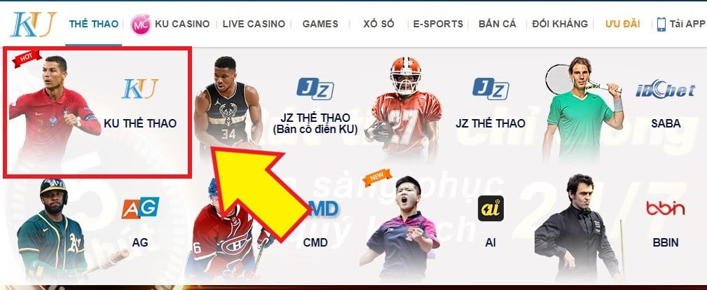 Trang web cá cược thể thao điện tử #1 Việt Nam hiện nay 